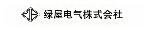 Partner 21